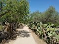 sicile 062